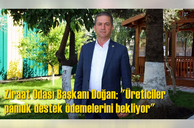 Yüreğir Ziraat Odası Başkanı Mehmet Akın Doğan; "Üreticiler pamuk destek ödemelerini bekliyor"