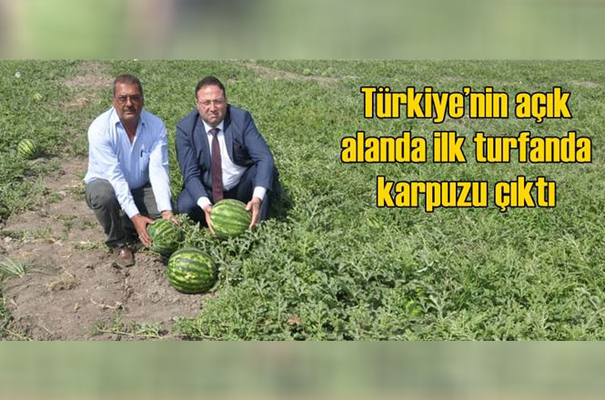 Mersin Tarsus Kulak Köyünde Açık Alanda Mayıs Ayında İlk Karpuzu Yetişti