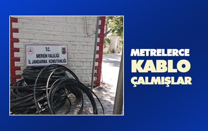 Mersin Silifke’de Tür Telekom’a Ait Kabloları Çalan Şahıslar Yakalandı