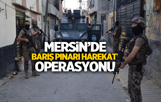 Mersin'de Sosyal Medya'da Terör Propagandası Yapanlara Operasyon