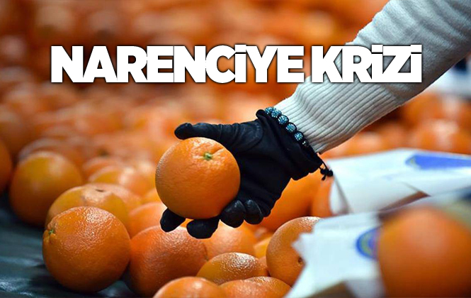 Suudi Arabistan, Türkiye'den Aldığı Narenciyede "Analiz" Krizi Başlattı