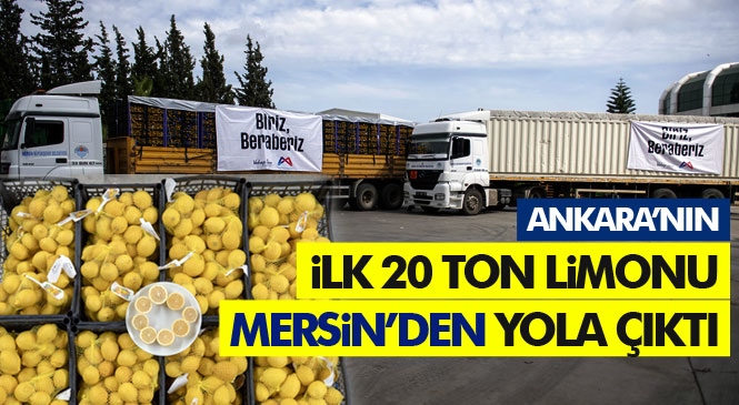 Mersin’in Öncülüğünde Üç Büyükşehir’in Güç Birliği, Hem Limon Üreticisine Hem de Vatandaşa Yarıyor! Ankara’nın 50 Ton Limon Talebinin İlk 20 Tonu Yola Çıktı