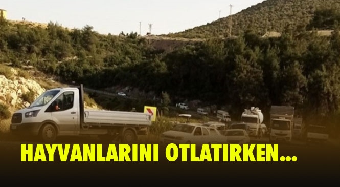 Trafik Kazası 1 Ölü! Mersin'in Tarsus İlçesinde Meydana Gelen Trafik Kazasında Bir Kişi Hayatını Kaybetti.