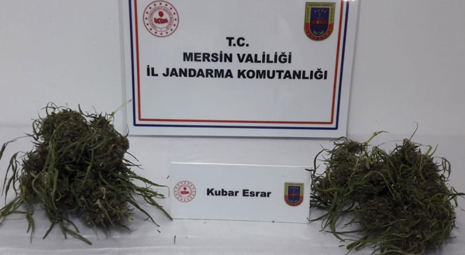 Mersin Tarsus'ta Uyuşturucu Kullanan Şahıs 120 Gram Esrarla Yakalandı