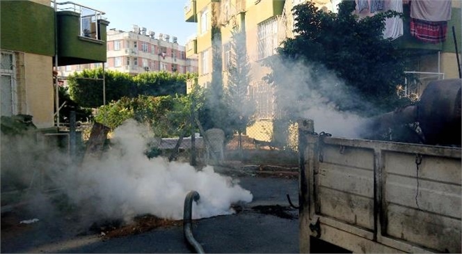 Mersin Büyükşehir Belediyesi, Sinek ve Diğer Zararlılarla Mücadele Çalışmalarına Durmaksızın Devam Ediyor