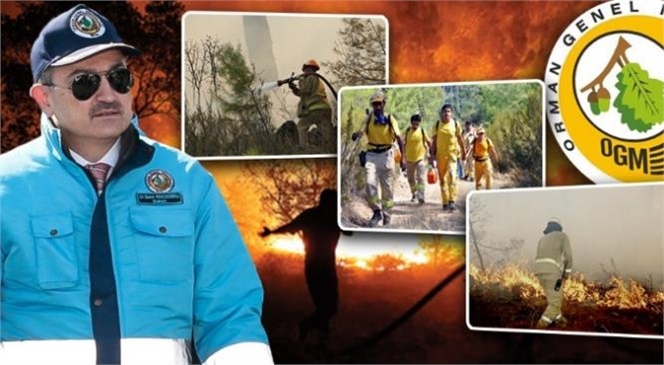 Orman Genel Müdürlüğü Orman Yangınları İle Mücadele ve Ormancılık Faaliyetlerinde Çalıştırılmak Üzere 2 Bin Geçici İşçi Alacak