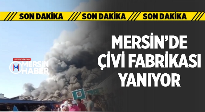 Mersin’in Tarsus İlçesindeki Çivi Fabrikasında Büyük Yangın! Gökyüzüne Yükselen Dumanlar İlçenin Birçok Noktasından Görüldü