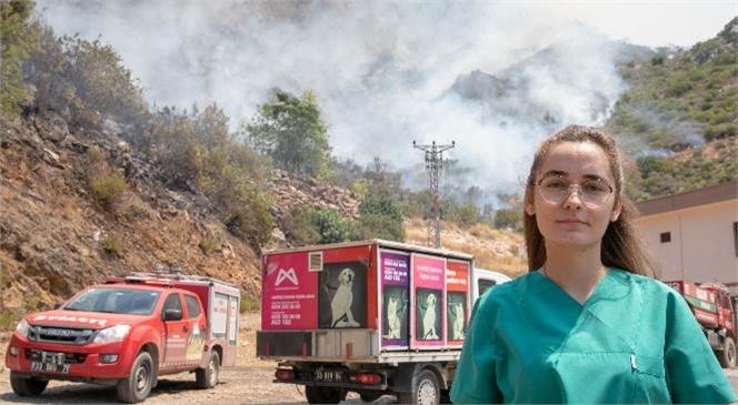 Mersin Büyükşehir, Yangından Etkilenen Hayvanlar İçin Yardıma Koştu