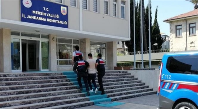 Mersin İl Jandarma Komutanlığından DEAŞ Örgüt Üyesine Yakalama