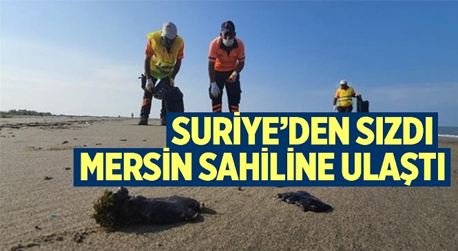 Mersin Büyükşehir Ekipleri, Tarsus Plajında Petrol Atıklarını Temizledi