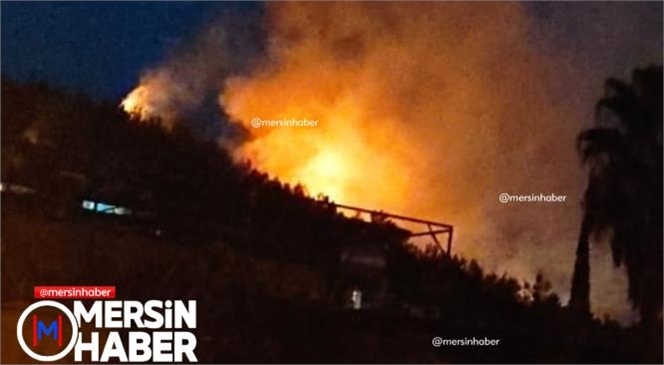 Mersin'de Orman Yangını! Yangın Gece 03.00 Sıralarında Başladı