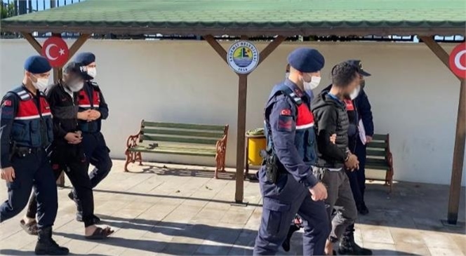 Mersin'de Hayvan Hırsızlığı Yapan 2 Şüpheli Gözaltına Alındı