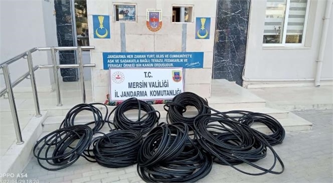 "Jandarmadan Kablo Hırsızlarına Operasyon; 2 Tutuklu"
