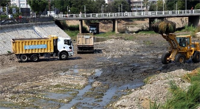 Akdeniz Belediyesi Fen İşleri Ekipleri, Dsi’nin Sorumluluğundaki Dere İçinde Yapılan Islah Çalışmasına Araç Desteği Verdi
