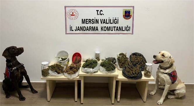 Mersin İl Jandarma Komutanlığı Ekiplerince Düzenlenen Uyuşturucu Operasyonunda 2 Şüpheli Yakalandı