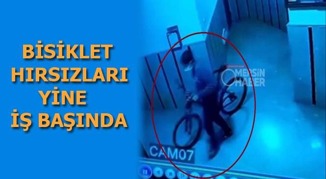 Mersin'de Bir Apartmandan Bisiklet Çalan Şahıs Güvenlik Kamerasına Yakalandı