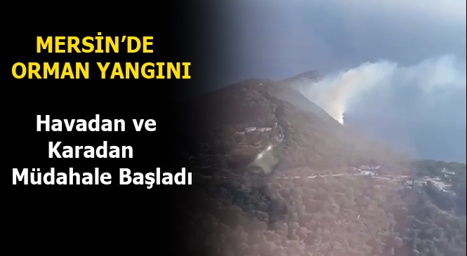 Mersin'de Orman Yangını Ekipler Müdahale Ediyor