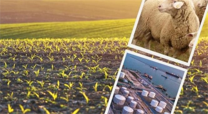 48 Milyon 143 Bin Liralık Tarımsal Destekleme Ödemeleri Bugün Çiftçilerin Hesabına Yatırılıyor