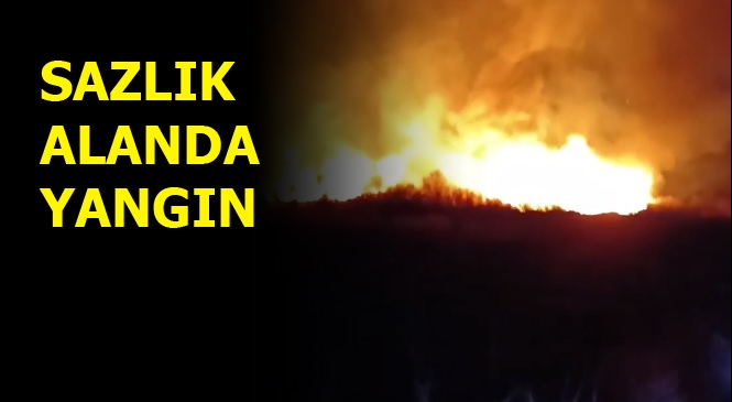 Mersin'de Sazlık Alanda Çıkan Yangına Ekipler Müdahalede Bulunuyor