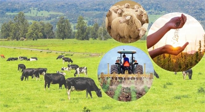 49 Milyon 411 Bin TL'lik Tarımsal Destek Ödemeleri Bugün Çiftçilerin Hesaplarına Aktarılacak