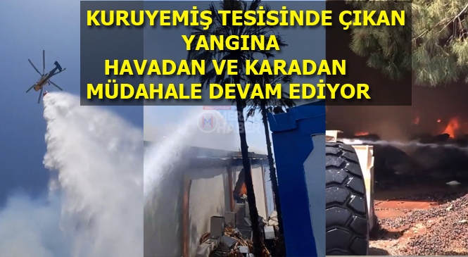 Mersin'de Kuruyemiş Deposunda Çıkan Yangına Helikopter Havadan Destek Vermeye Başladı