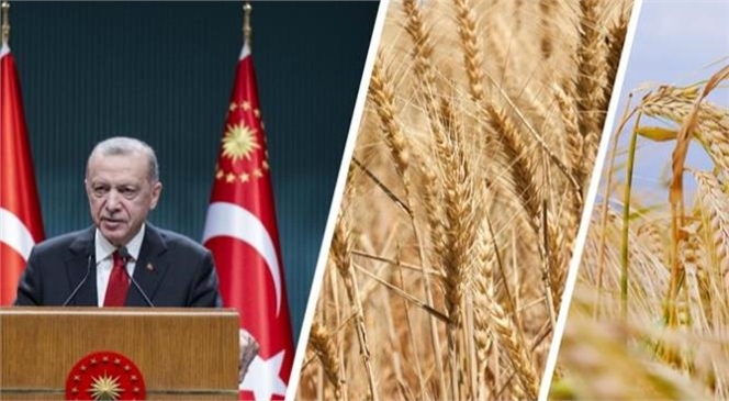 2023 Yılı Buğday ve Arpa Alım Fiyatları Belirlendi