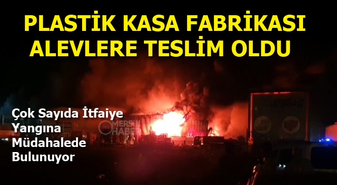 Mersin Tarsus'ta Plastik Kasa Fabrikasında Yangın Çıktı