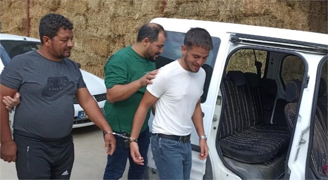 Tarsus'ta Bir İneğe İçki İçirdiği İddia Edilen Ancak İlaç Verdiğini İddia Eden Şahıs Yakalanarak Tutuklandı