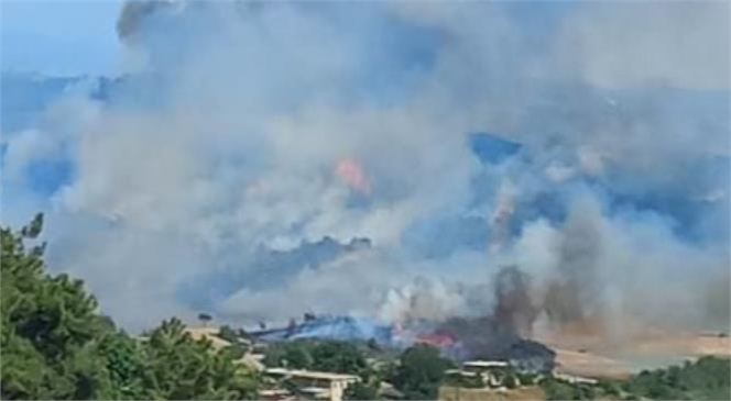 Mersin'de İki Ayrı Noktada Orman Yangını Çıktı
