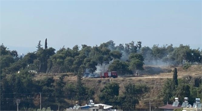 Mers'in Tarsus İlçesine Bağlı Tarihi Gözlükule Höyüğü'nde Yangın çıktı