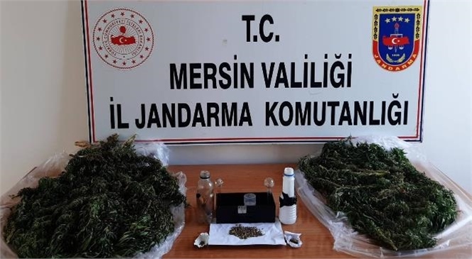 Mersin İl Jandarma Komutanlığı Ekiplerince Düzenlenen Uyuşturucu Operasyonlarında 2 Şüpheli Yakalandı