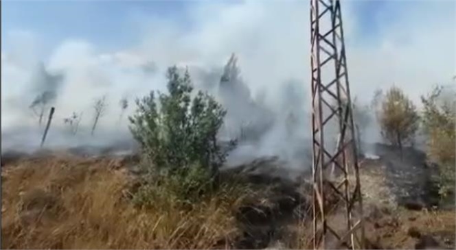 Mersin'de Orman Yangını, Havadan ve Karadan Müdahale Edildi