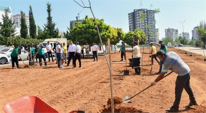 Yenişehir Değişiyor! Mersin Yenişehir Belediyesi, Fuat Morel Mahallesi’nde Oluşturduğu Korulukla Kente Yeşil Alanlar Kazandırmaya Devam Ediyor