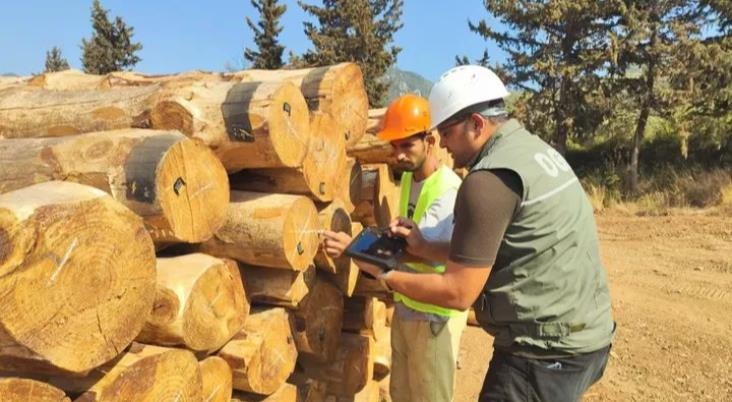 Yapılan Çalışma İle Ağaçlar Kimlik Kazanıyor