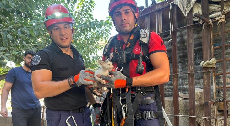 Mersin Büyükşehir İtfaiyesi Yavru Kediye Yeniden Yaşam Umudu Oldu