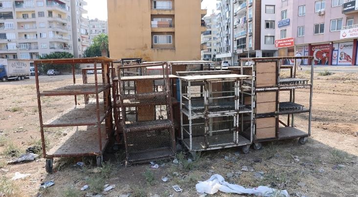 Akdeniz’de Kanatlı Hayvan Satışına Sıkı Denetim