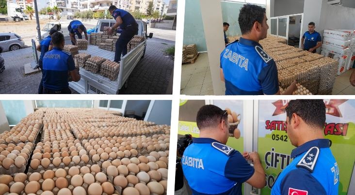 Tarsus'ta : Altmış Bin Bozuk Yumurtaya El Konuldu