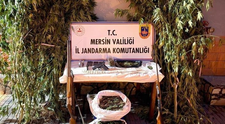 Mersin’de Yasadışı Ekim Operasyonu