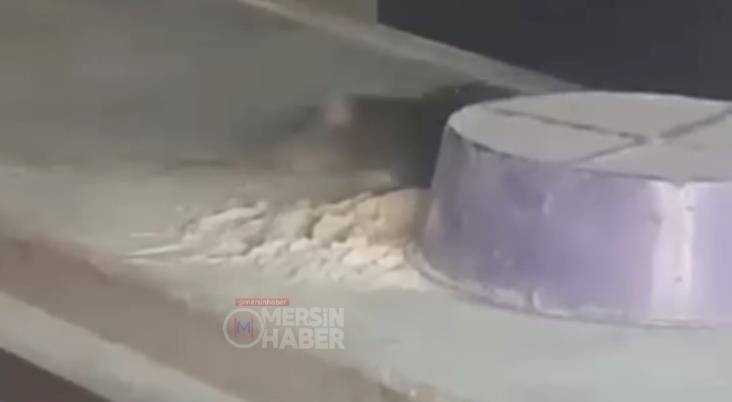 Mersin Akdeniz’de Fırında Hijyen Skandalı: Tezgahta Fare Görüntülendi