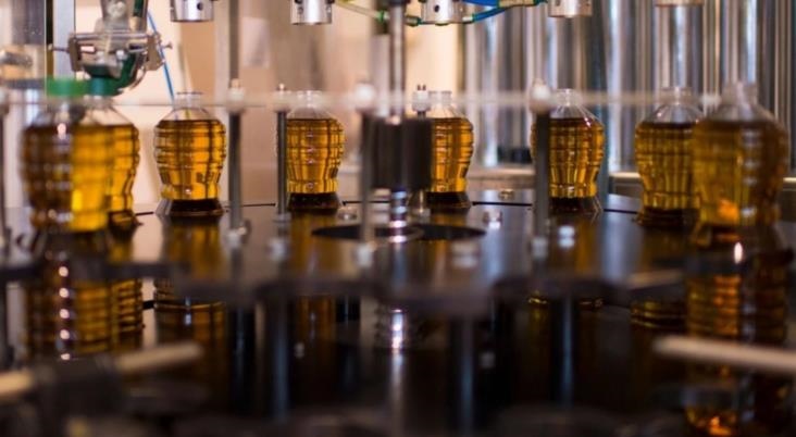 Zeytinyağı Fiyatları Artıyor! Üretici 2025’i ‘yok Yılı’ İlan Etti