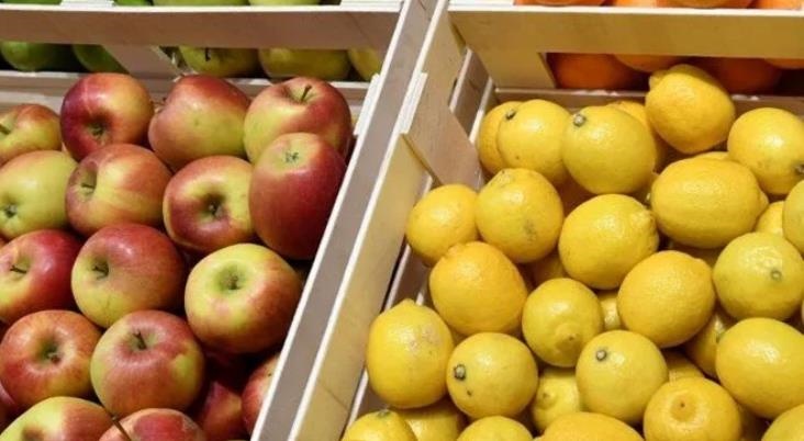 Limon ve Elma İhracatı İzinsiz Yapılamayacak!