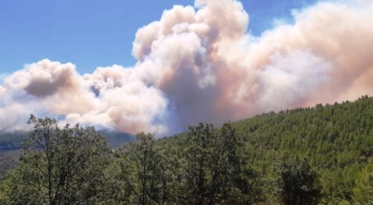 Yasak Uzatıldı: Mersin’de Ormanlık Alanlara Giriş Yasağı Uzatıldı!
