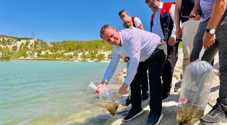 Mersin'de 32 Bin Sazan Yavrusu 18 Farklı Su Kaynağına Bırakıldı