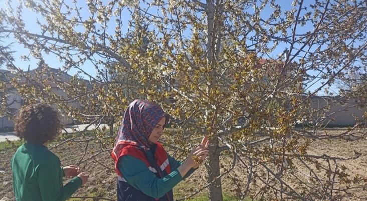 Zirai Don Hasar Ödemeleri Resmi Gazete’de: Mersin’e Hangi Ürün İçin Ne Kadar Destek Verilecek?