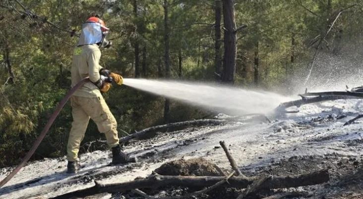 Feke ve Kadirli'de Orman Yangınları Kontrol Altına Alındı
