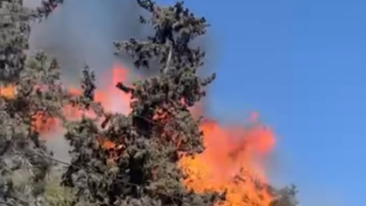 Tarsus Gözlükule Höyüğünde Çıkan Yangın Kontrol Altına Alındı