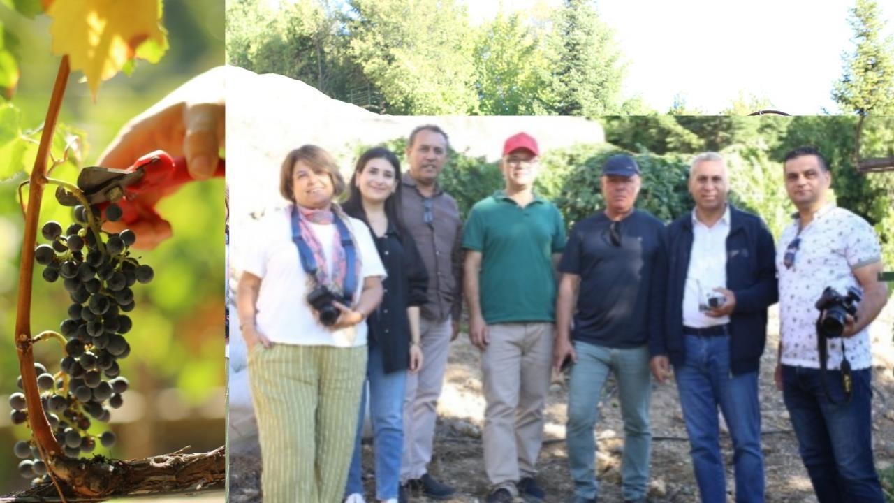 TADEKA Turizm ve Gastronomi Kurulu Üyeleri Çamlıyayla’da Bağbozumu’na Katıldı