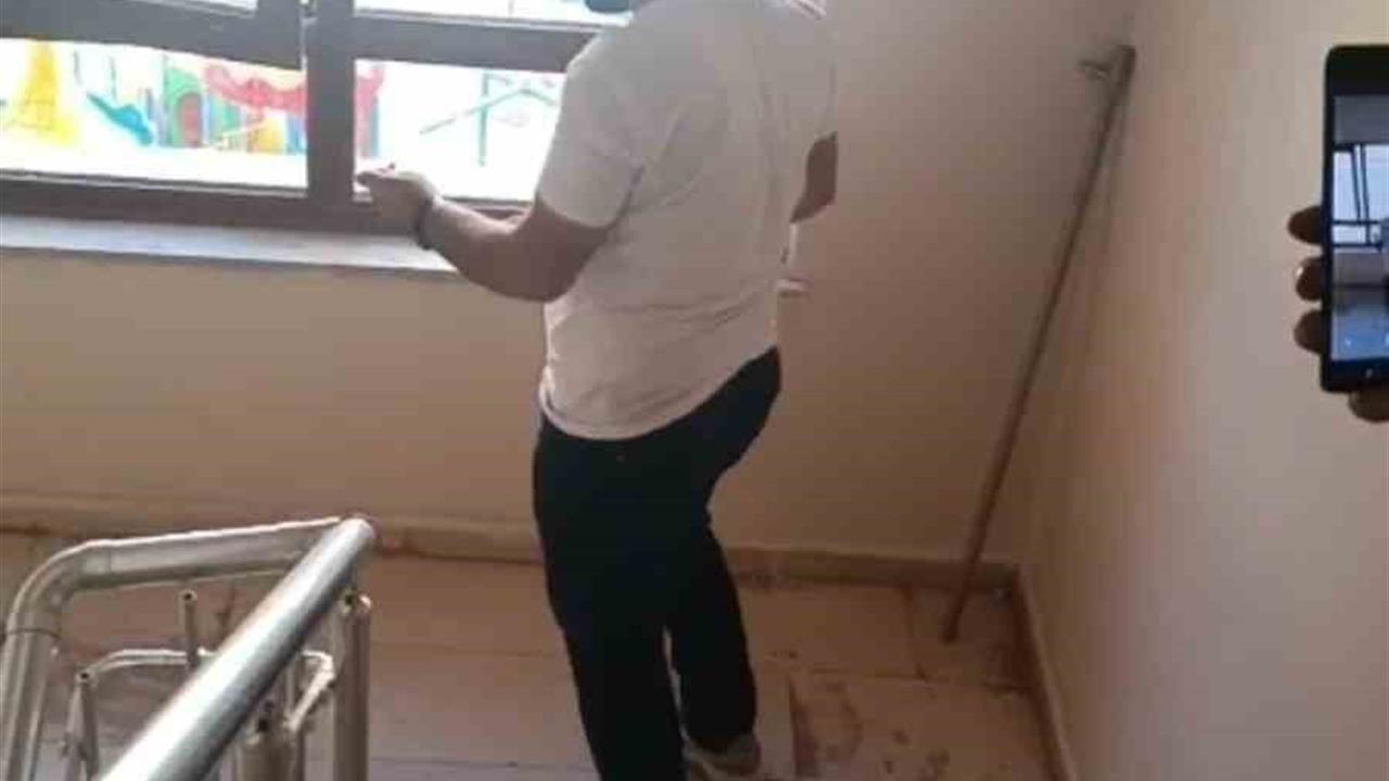 Şırnak'ta Apartmanda Yılan Paniği Yaşandı