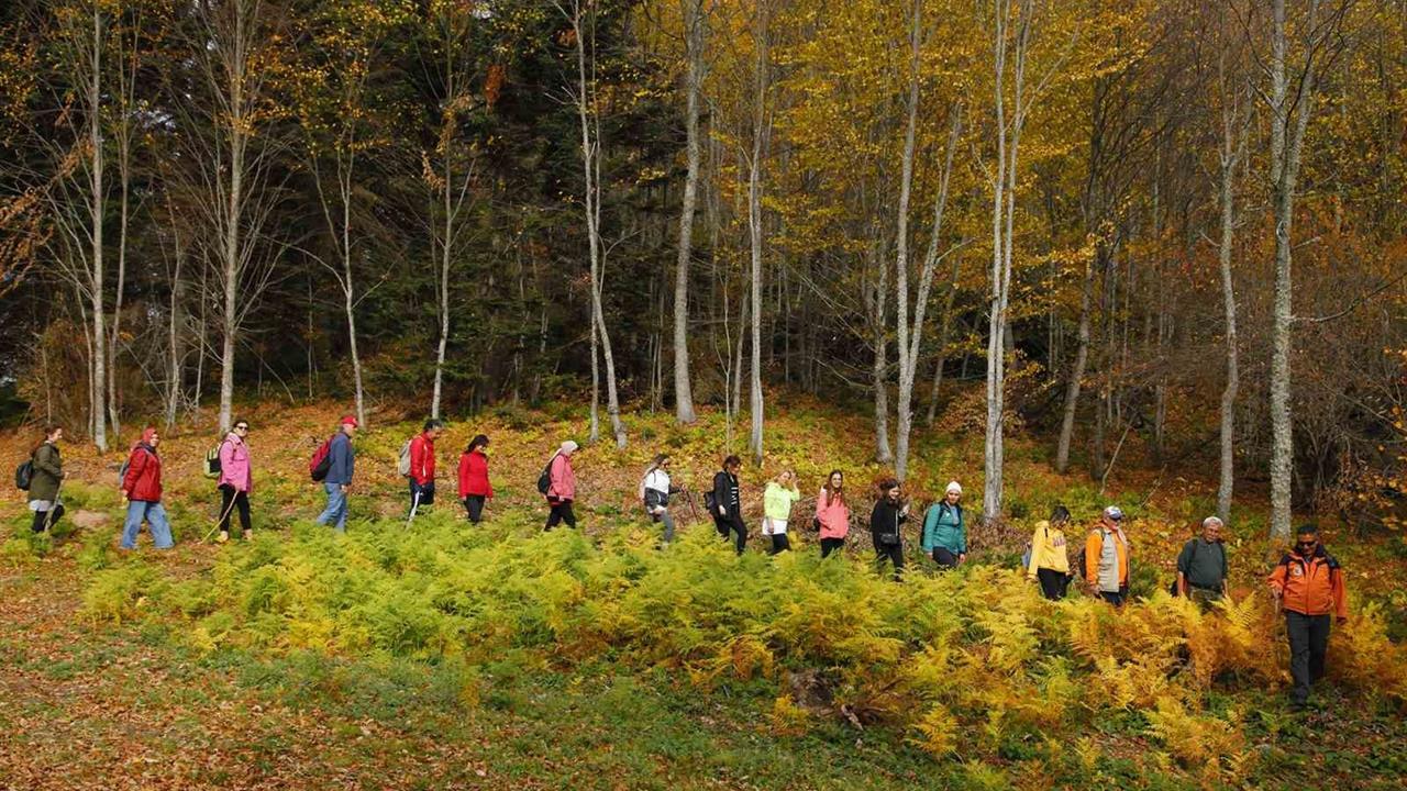 Sakarya'da Sonbahar Doğa Yürüyüşleri Başlıyor