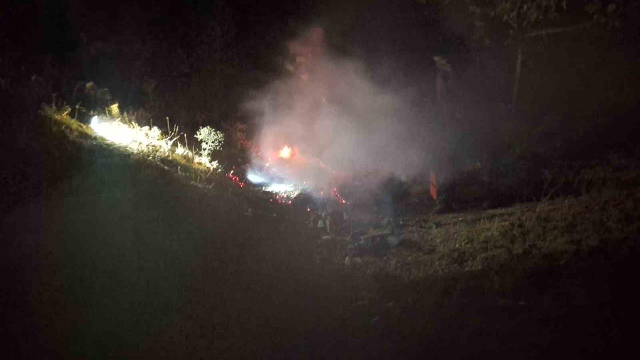 Bingöl'de Orman Yangını Kontrol Altına Alındı